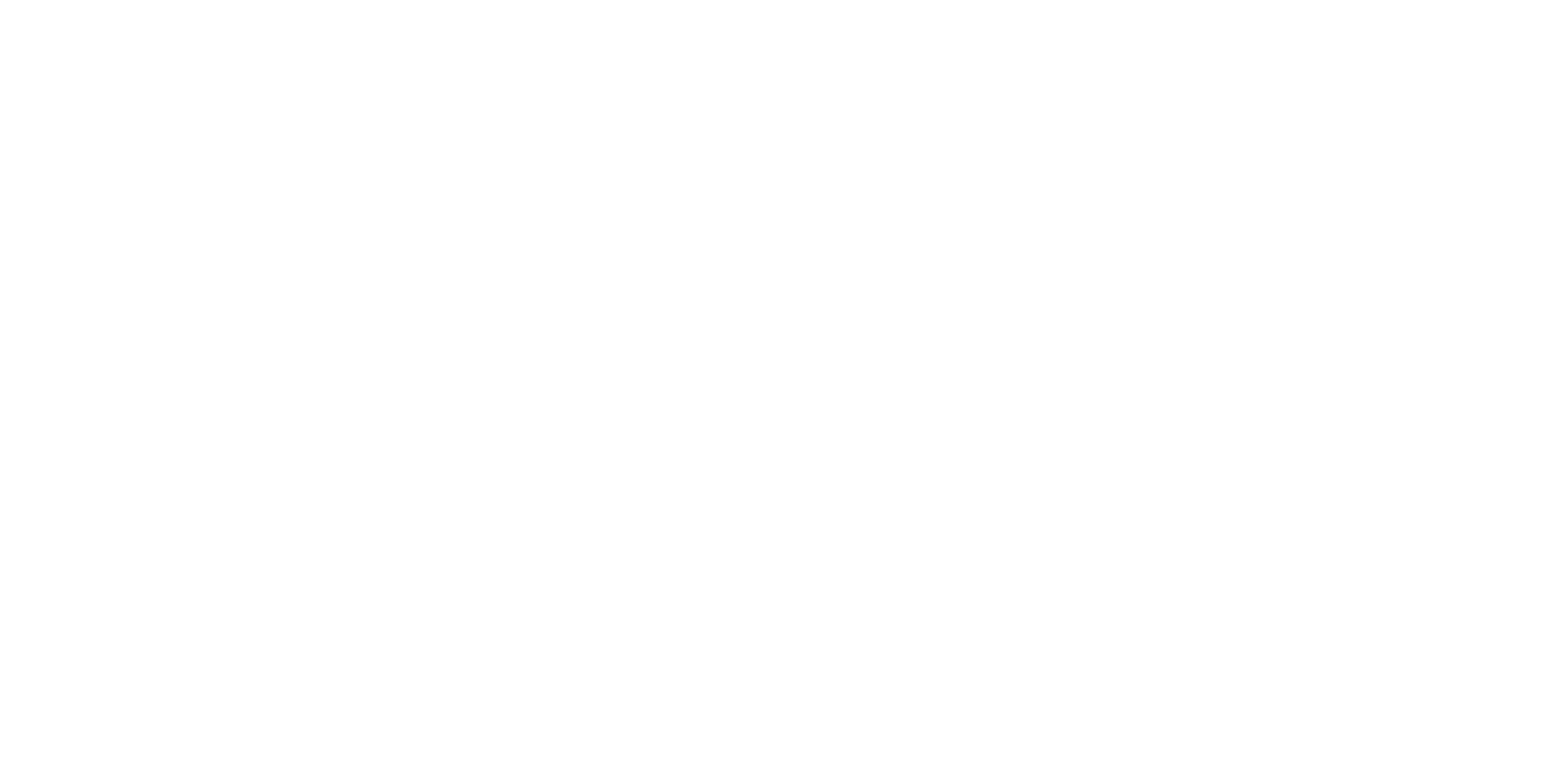 Skechers Brand