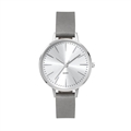 Polished Silver